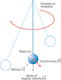 Figure 1. Foucault’s pendulum